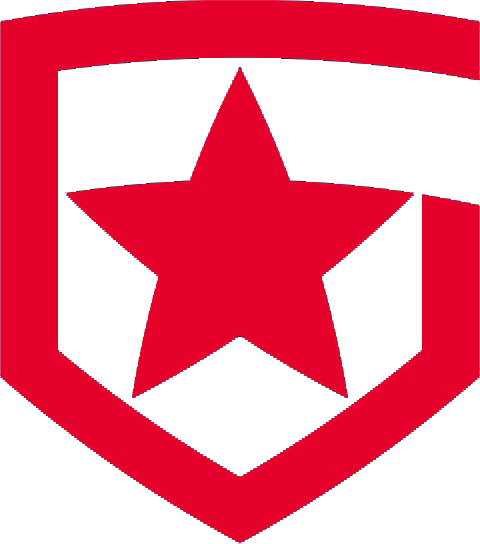 Gambit eSports – Counter-Strike: Global Offensive Team
